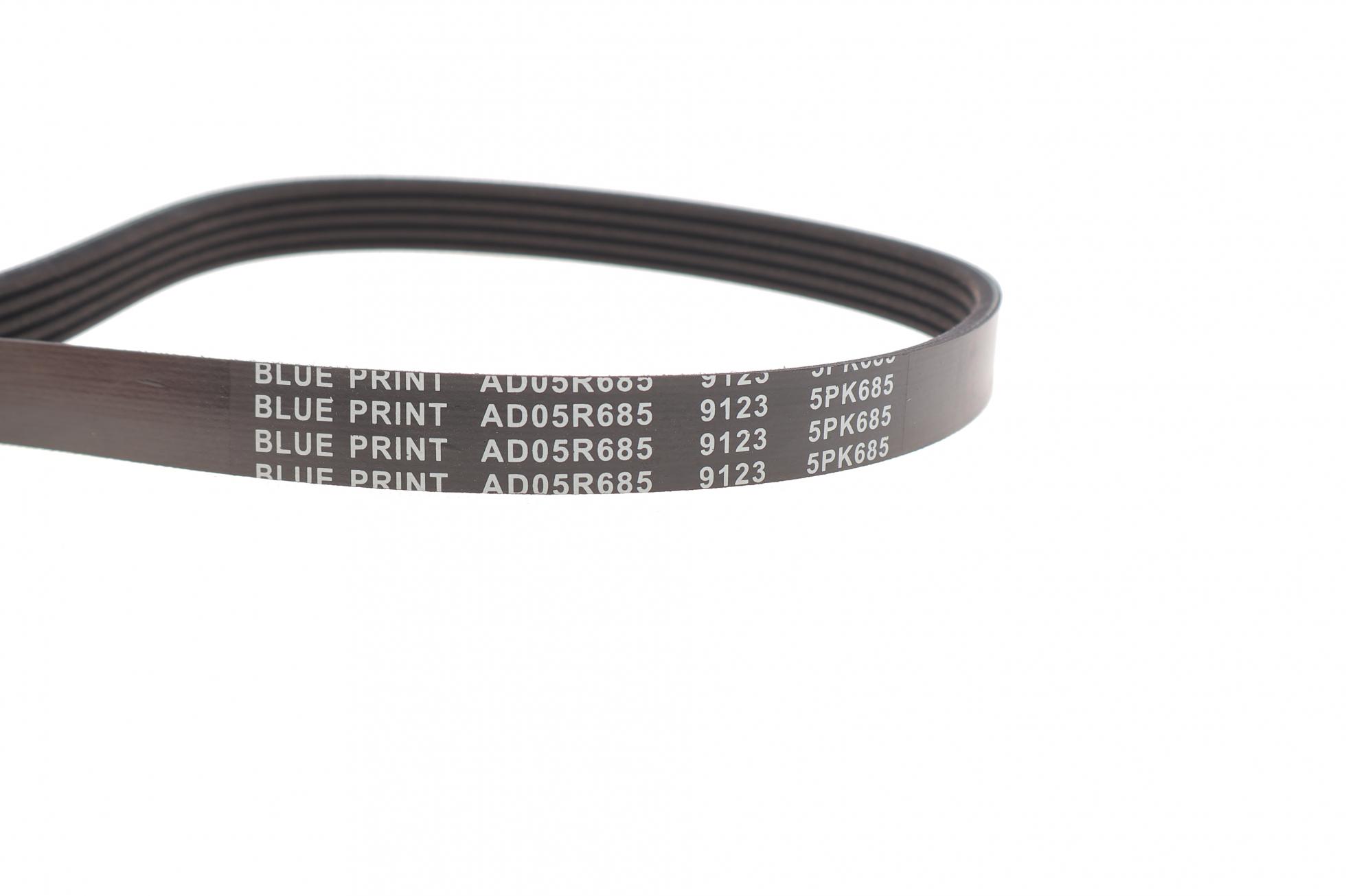 AD05R685 BLUE PRINT